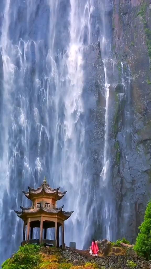 植物大战僵尸4